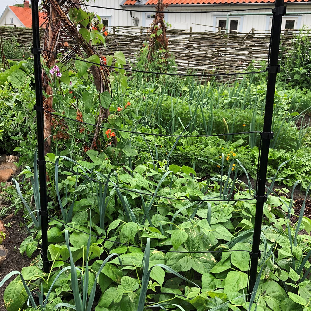 tradspalje-flexigarden__e66d1fa1-d5cf-40bf-a0c0-10