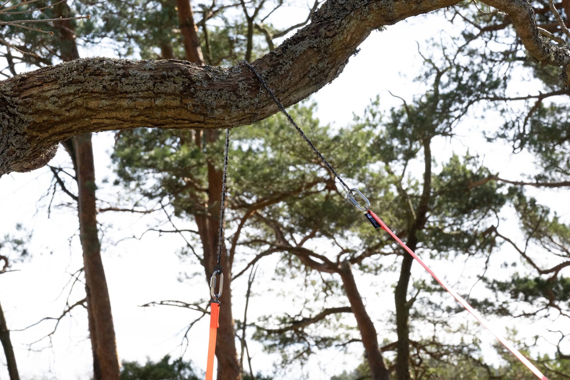 Nordic_Pocket_Saw_Arborist_V2_DSC_1076-scaled.jpg