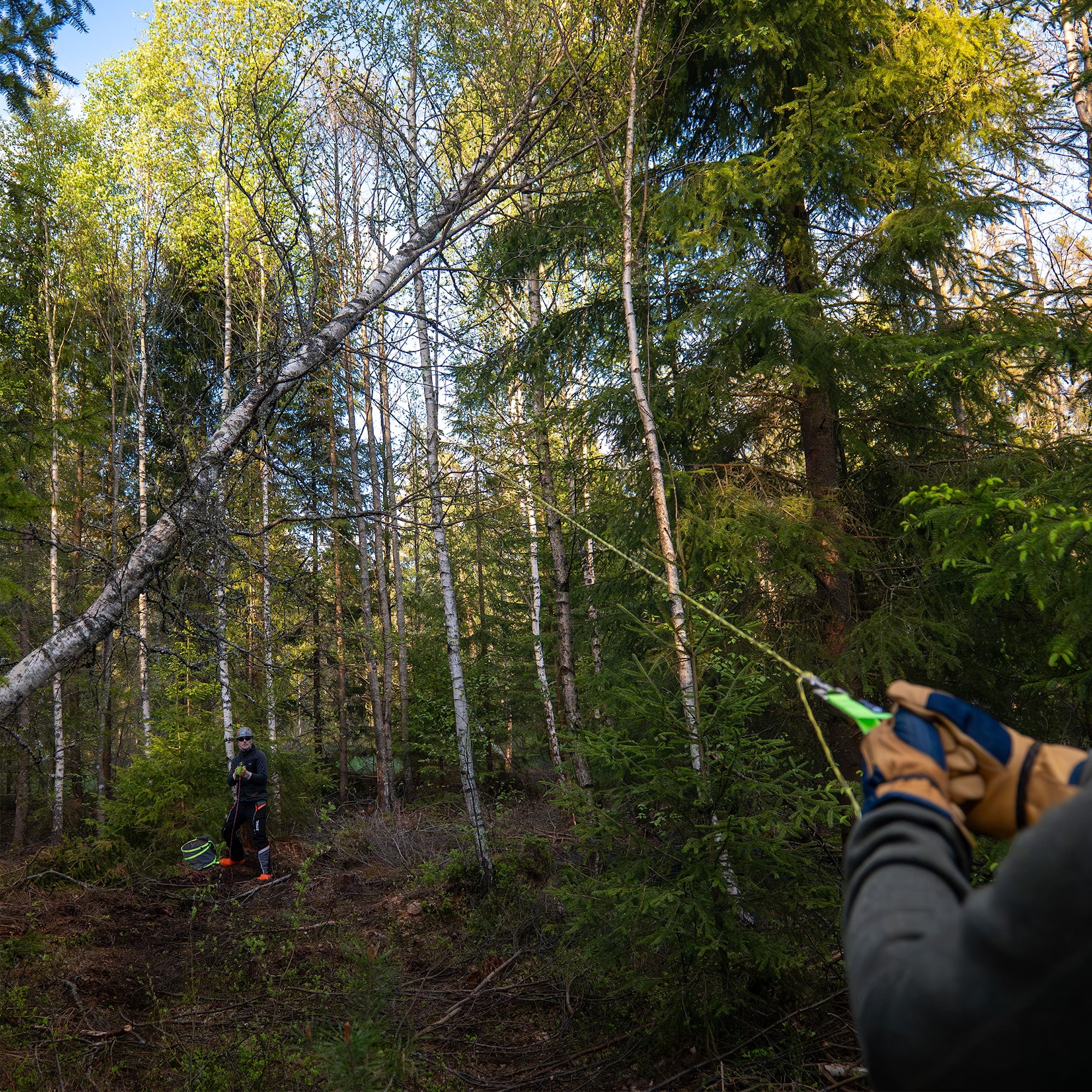 Nordic-Pocket-Saw-Lineworker-9.jpg