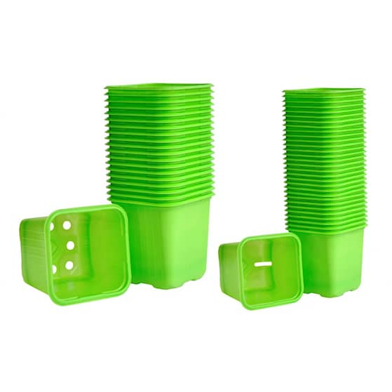 Weibulls Plastkruka 30-pack 6 cm limegrön