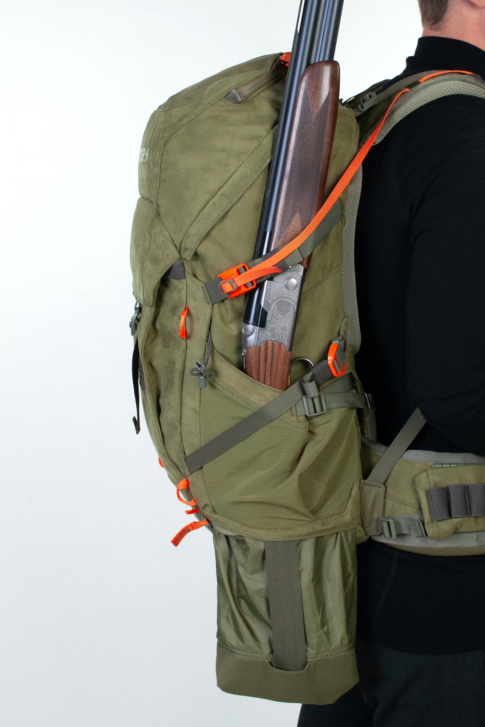 Fauna Kinglet E 2.JPG