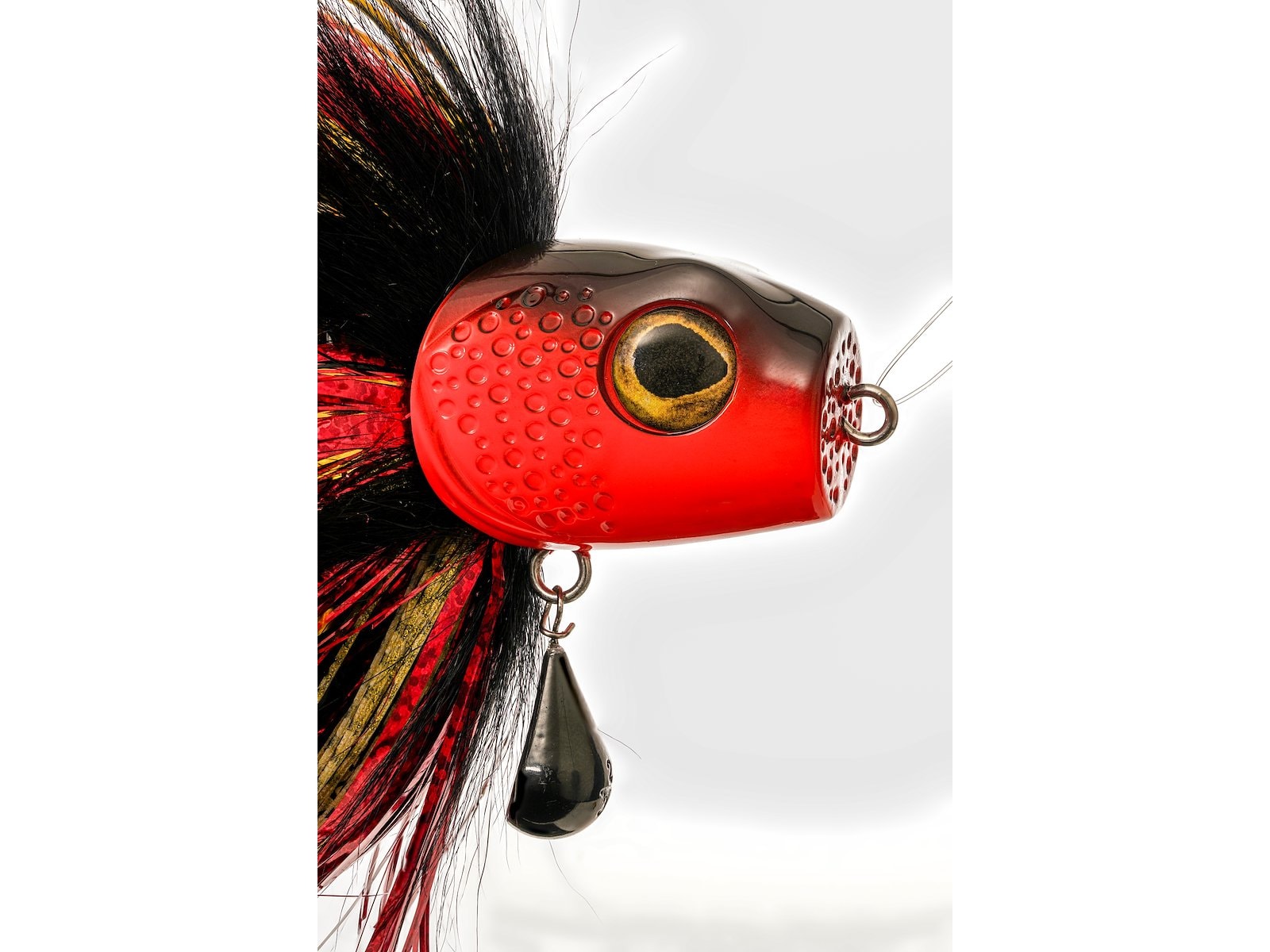 p303_monsterfly_x2_large.jpg
