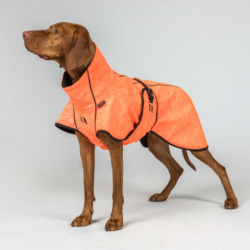 3245BARKSoftshellDogCoat_LowsettailOrangeDetail02W