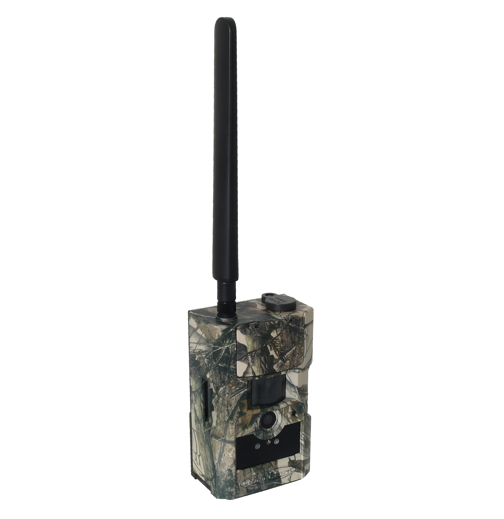 BG584_2024_4.png