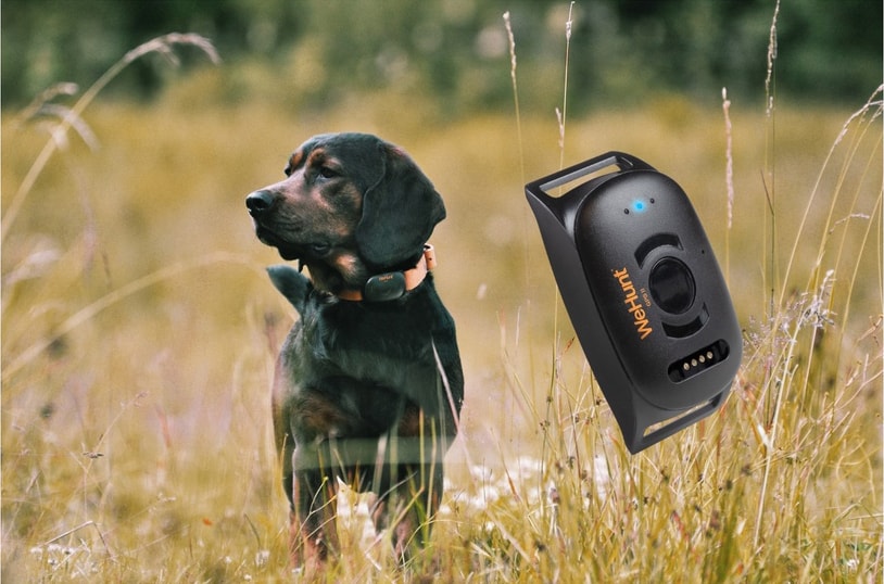 Wehunt Dog Tracker II