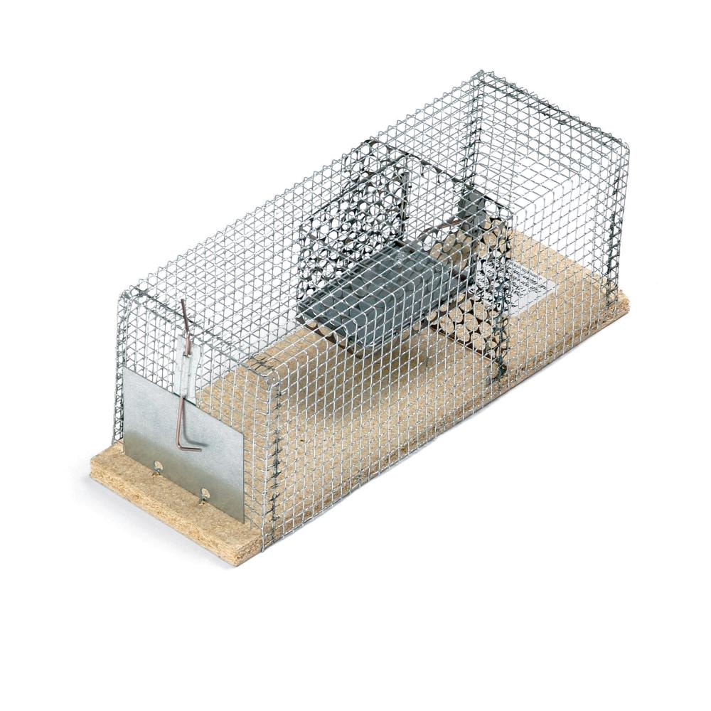 Rottebur Stor Nyby 52x20x20cm -