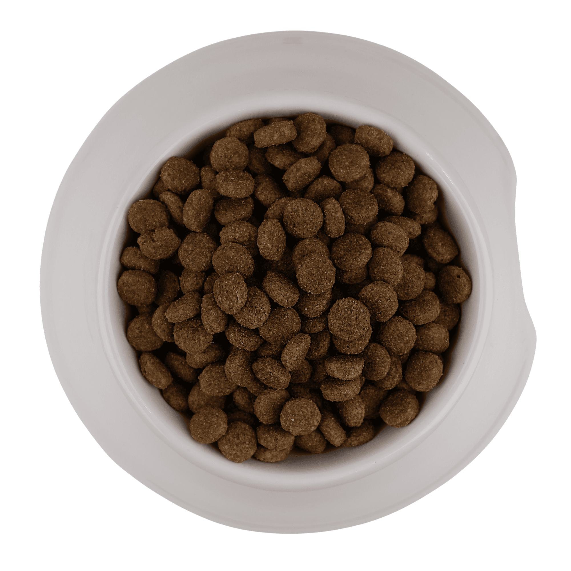 Halla Standard (2).png