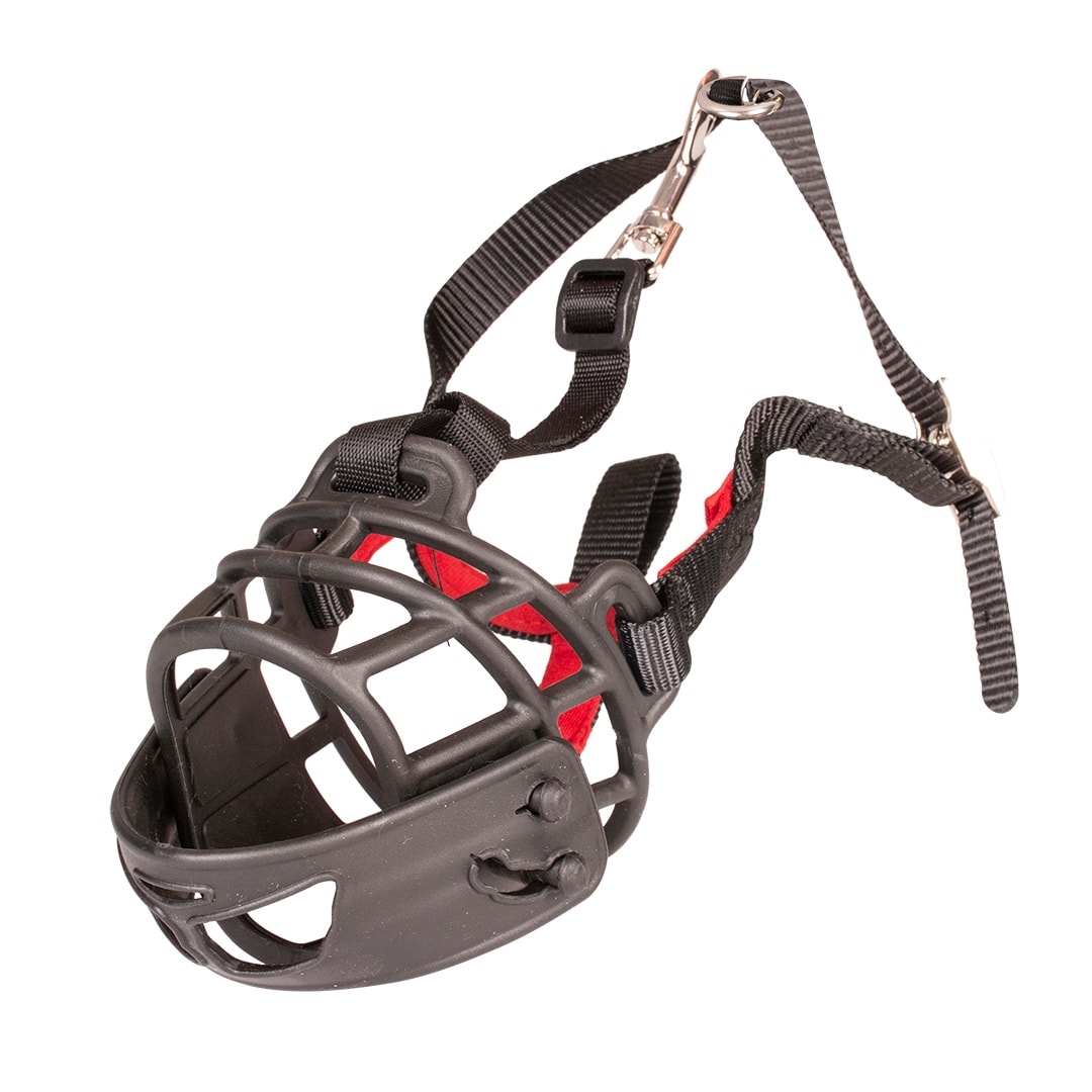 Duvo Hundekorb XS Gummi Jack Russel, Yorkshire, Terrier, Dackel, Malteser