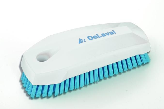 Delaval Nagelborste Vit