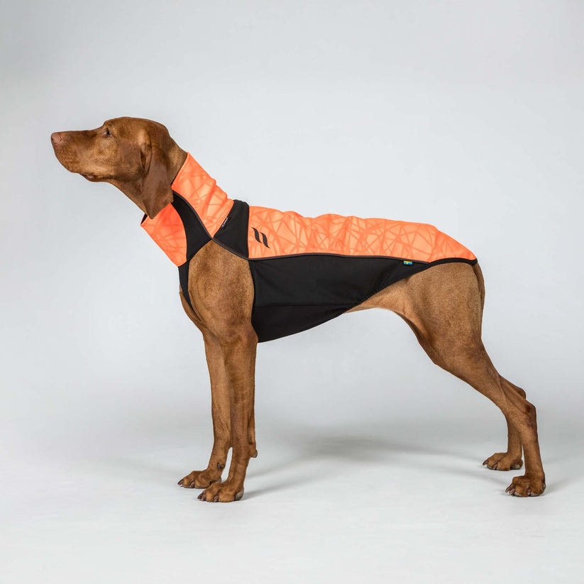 3246BARKVisibilitySuitOrangeDetail01Web[1].jpg