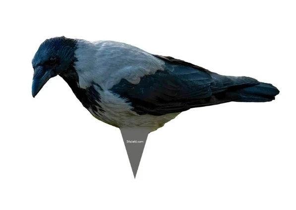 Silhouetten-Vogelfigur Krähe, 6er-Pack – Lockvogel