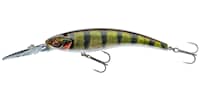 Daiwa Prorex Diving Minnow 8cm DR Live Perch