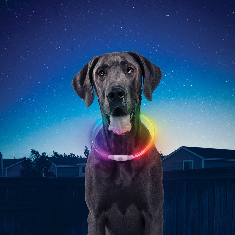 NiteHowl® valaiseva koiran kaulapanta, ladattava, RGB-LED