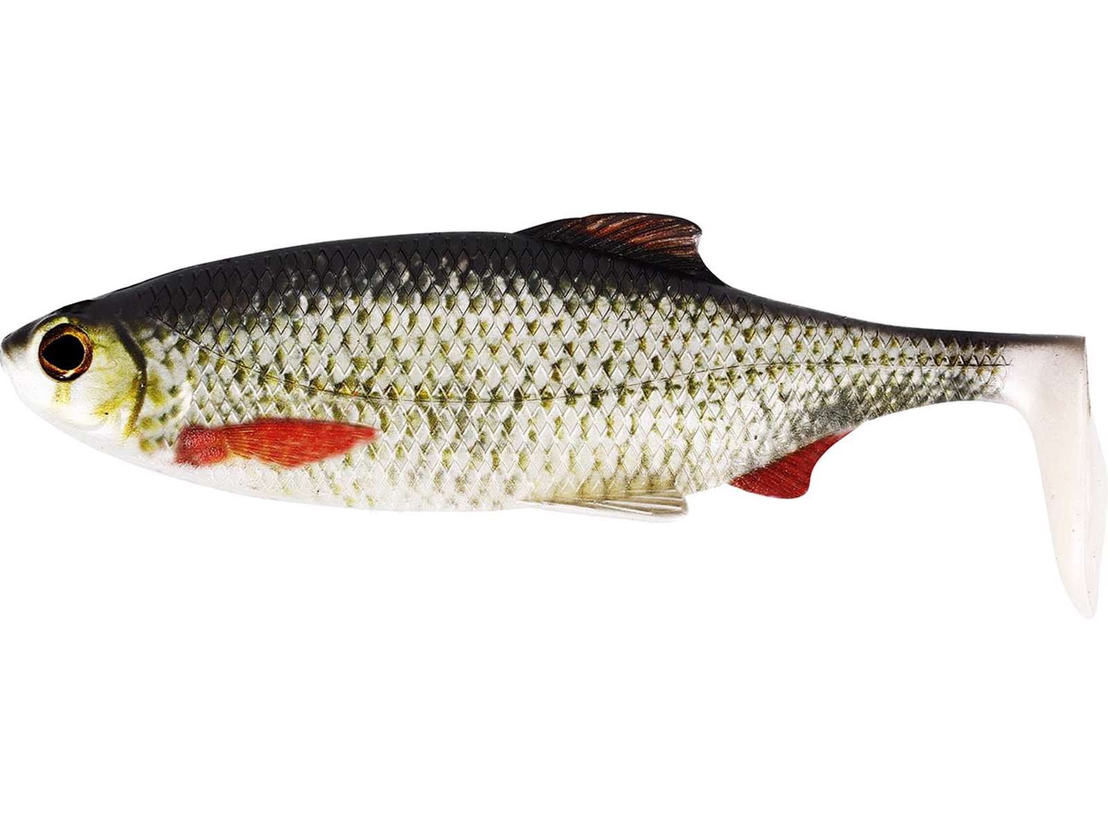 Ricky the Roach Shadtail 7cm 6g Real Roach 2pcs