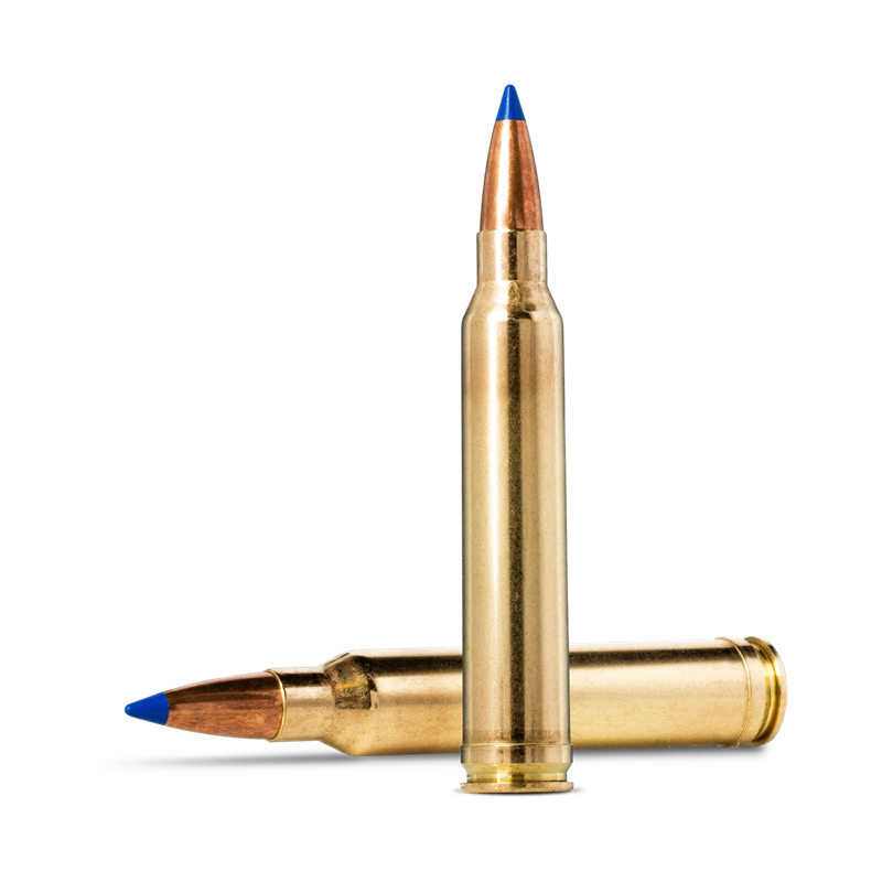 Norma 300 Winchester Magnum Bondstrike 11,7g 180gr