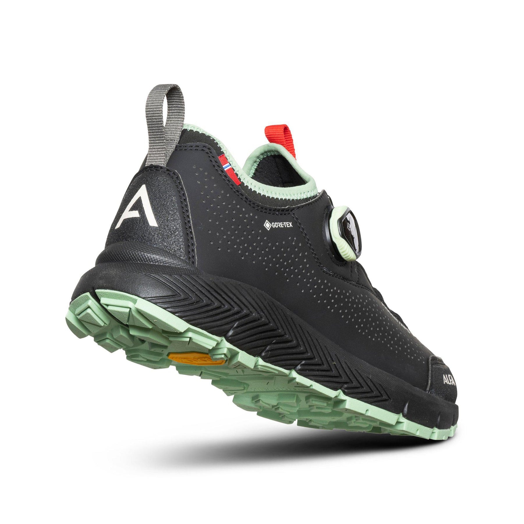 682900110-piggen_aps_gtx_w-black-back_87432366-bad