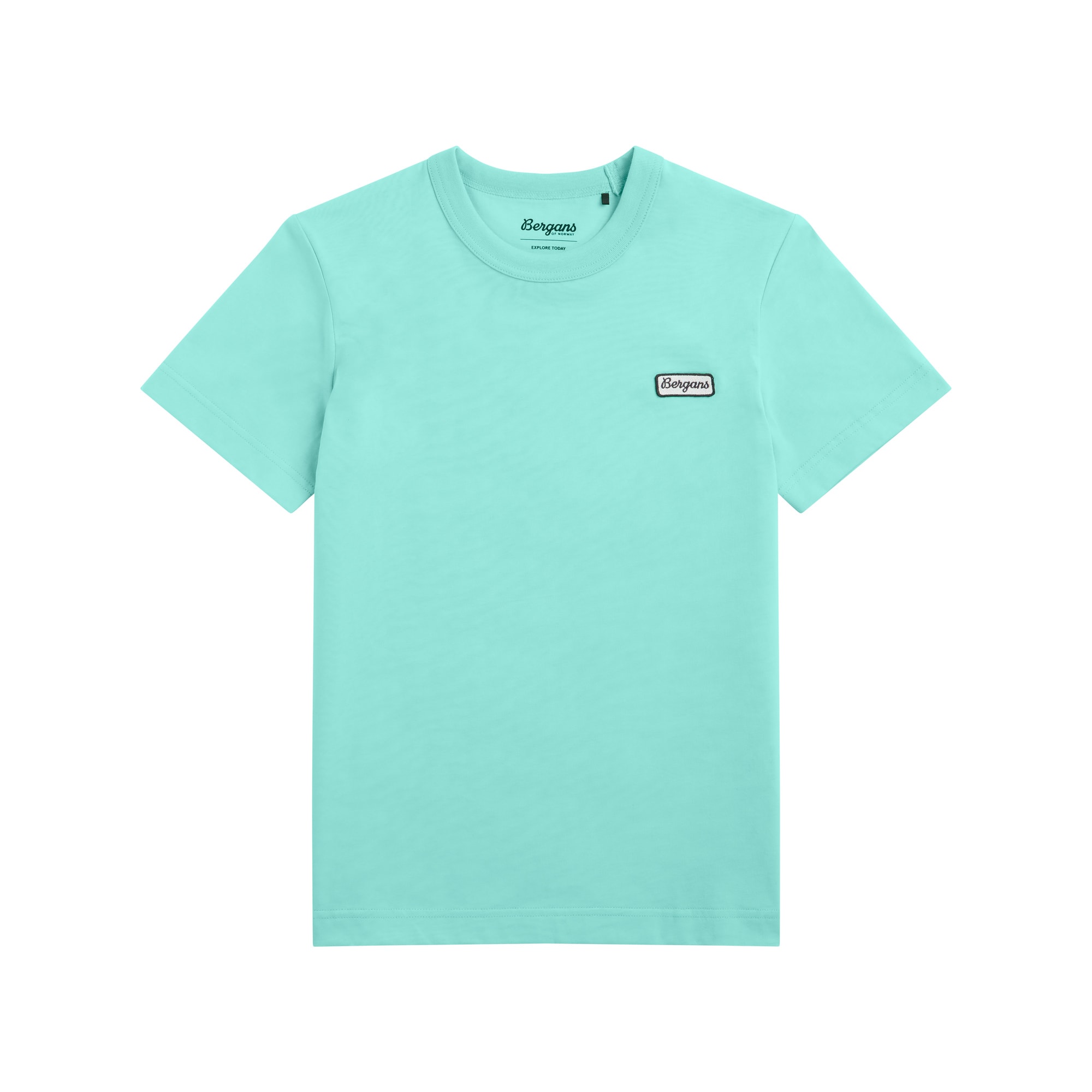 Bergans Logo Cotton Tee Women Cool Mint