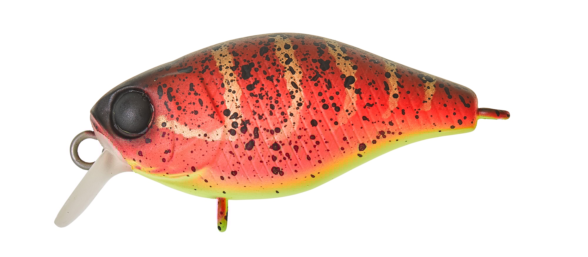Illex Chubby MR 3,8cm Spicy Louisy Craw