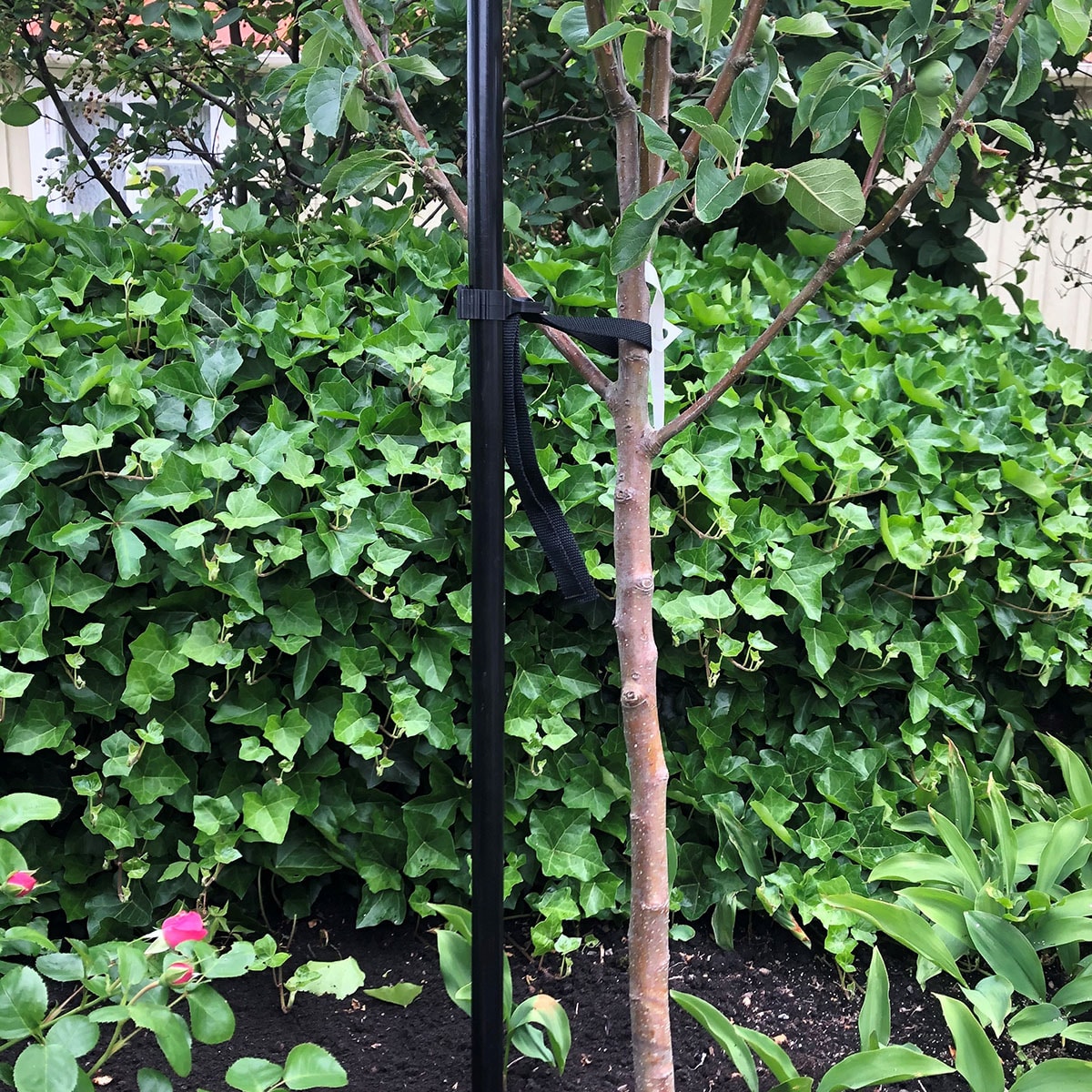 Flexigarden Trädstöd 1-stolpe Svart