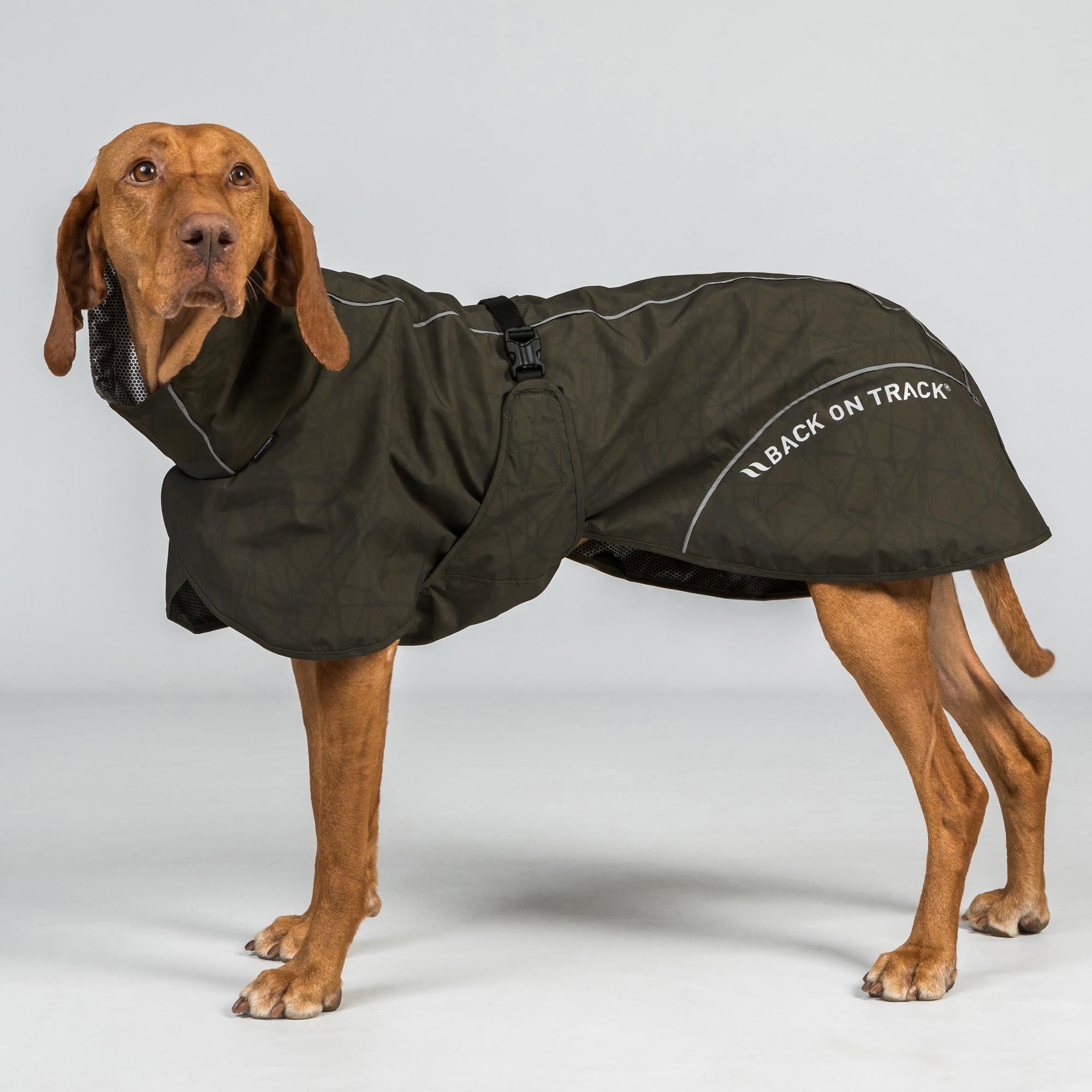 3239BAYRainDogCoat_LowsettailOliveDetail01Web_00ea