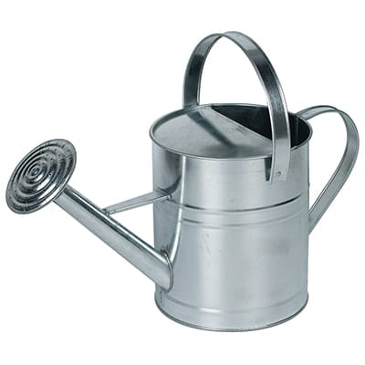 Ryom Vattenkanna galvaniserad 10 L