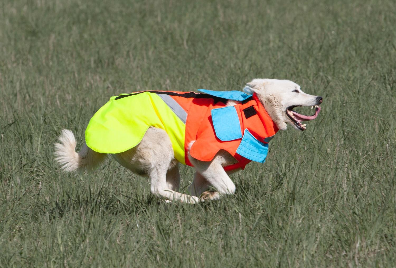 Tuskproof Boar v.5 Orange (XS)