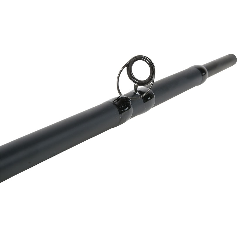 57-BFT-RINT-Fujiring.jpg