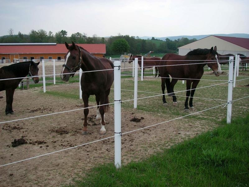 Foga Elrepstolpe 1800x60mm - Vit eller svart