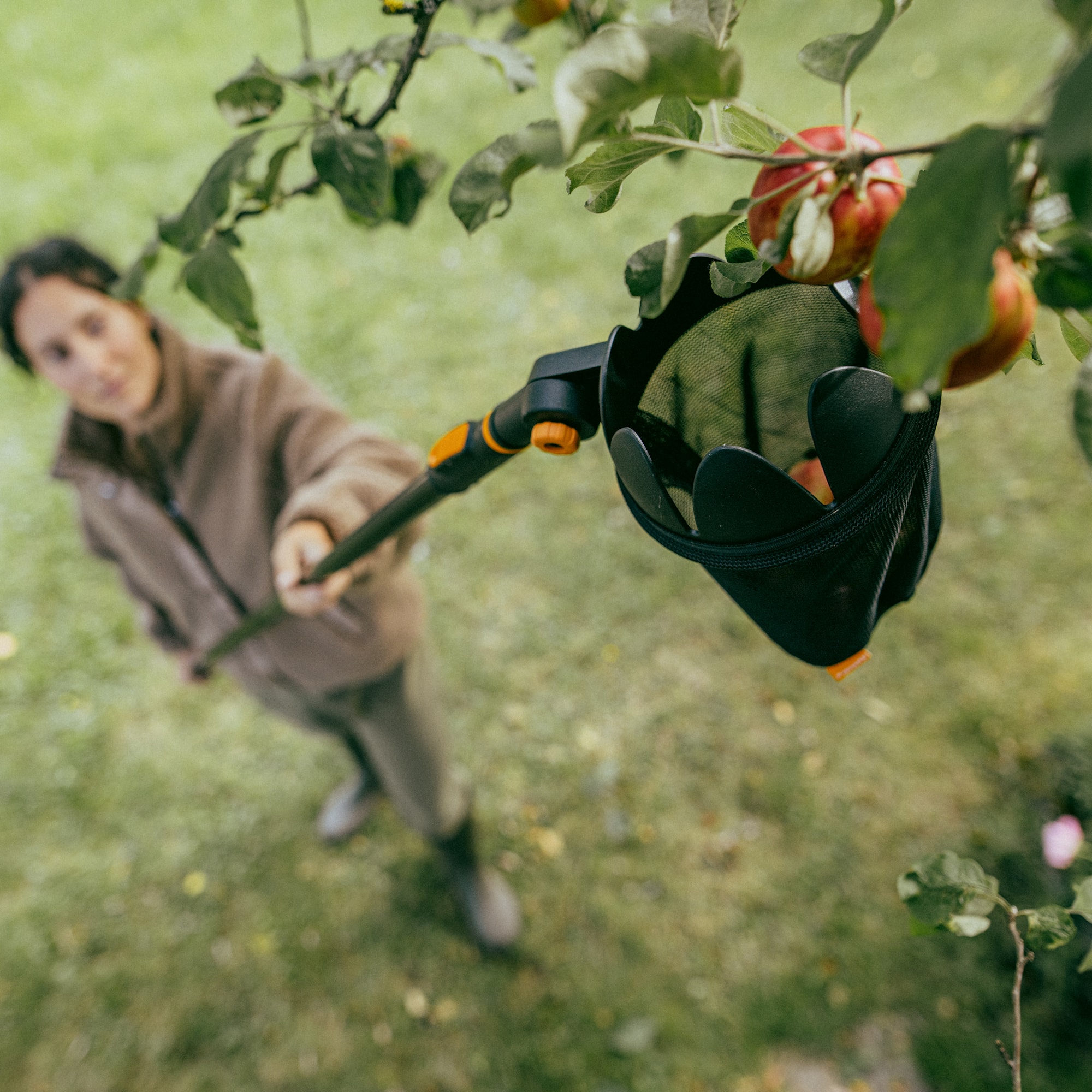 1080692_Fiskars_OneClick_Fruit_Picker_action_03_1x