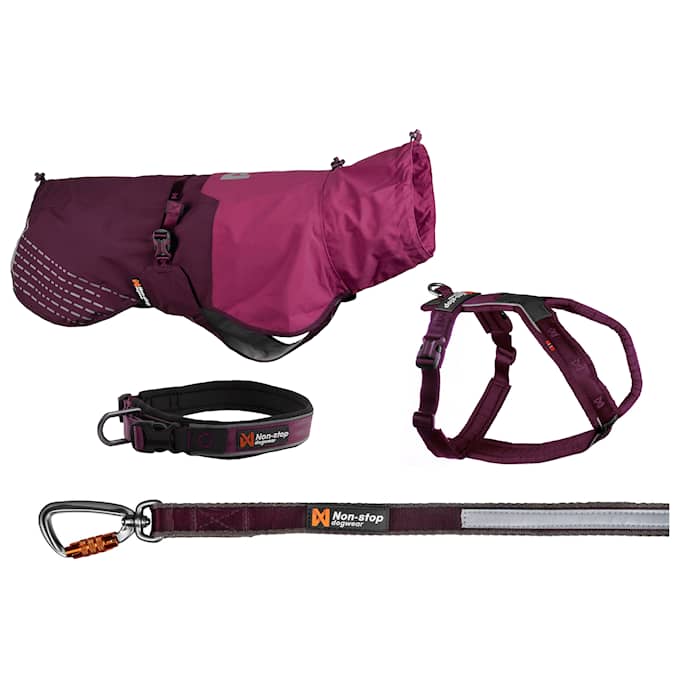 Non-Stop Dogwear Walking Paket Lila