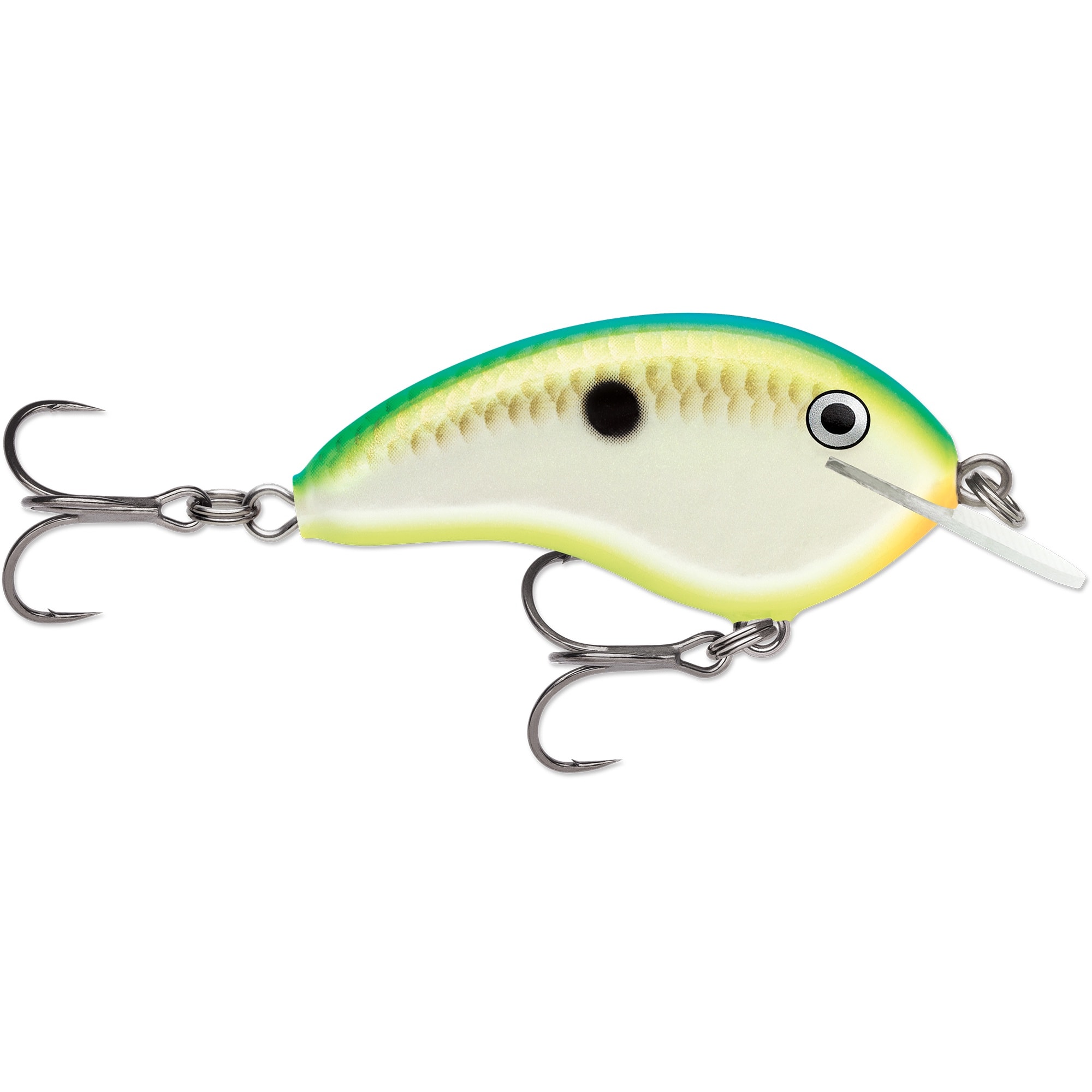 Rapala Ott'S Garage Tiny 4 cm Citrus Shad (CTSD) -