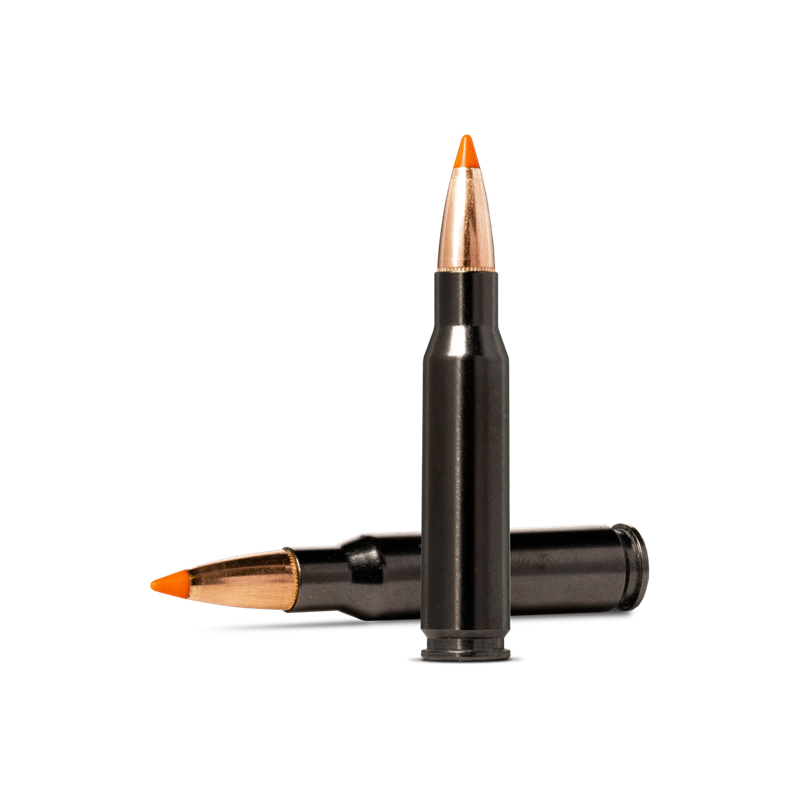 Norma Tipstrike Silencer .308 Win 11g