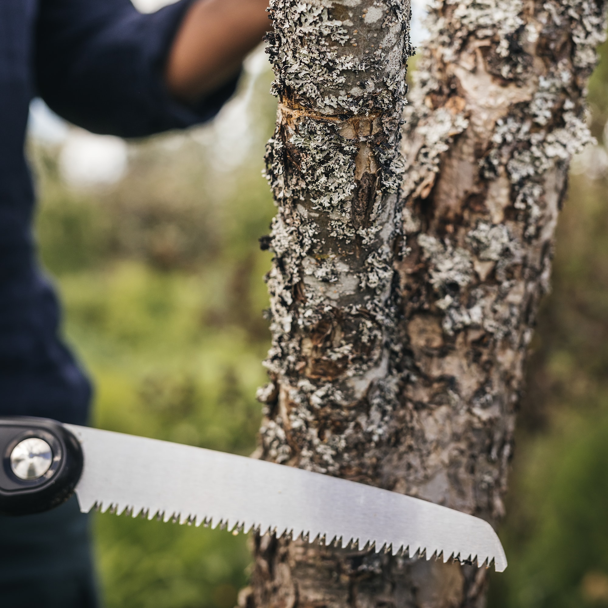1067553_Fiskars_Plus_Folding_Saw_SW69_action_02_1x