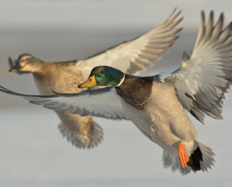 d6fb7160-edb2-4eab-85fe-79a8de82fea0[1]