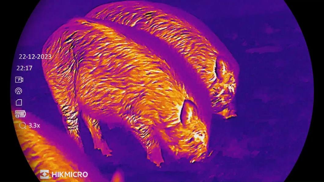 1060w-127248_Hikmicro_Stellar%20SQ50_20_IMG_3458(2