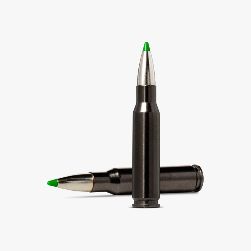 Norma 308 win 150gr Ecostrike Silencer