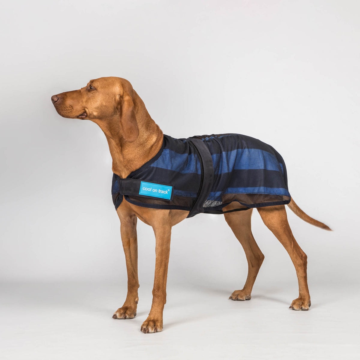 Cool on Track Kjøledekken til hund