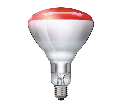 Värmelampa Philips 250W 230-250V BR 125 infraröd