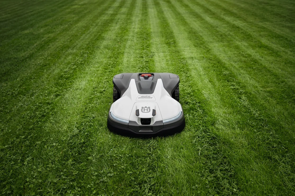 ws-994260.webp