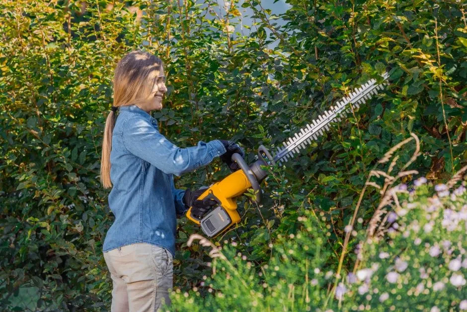 Stiga Ht 300e 9.webp