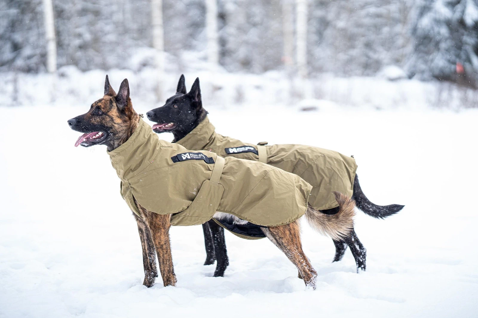 glacier_jacket_wd_setting_11.webp