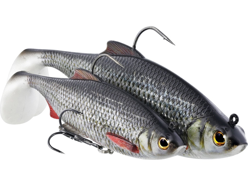 Westin Ricky The Roach Shadtail RNR 1-pack