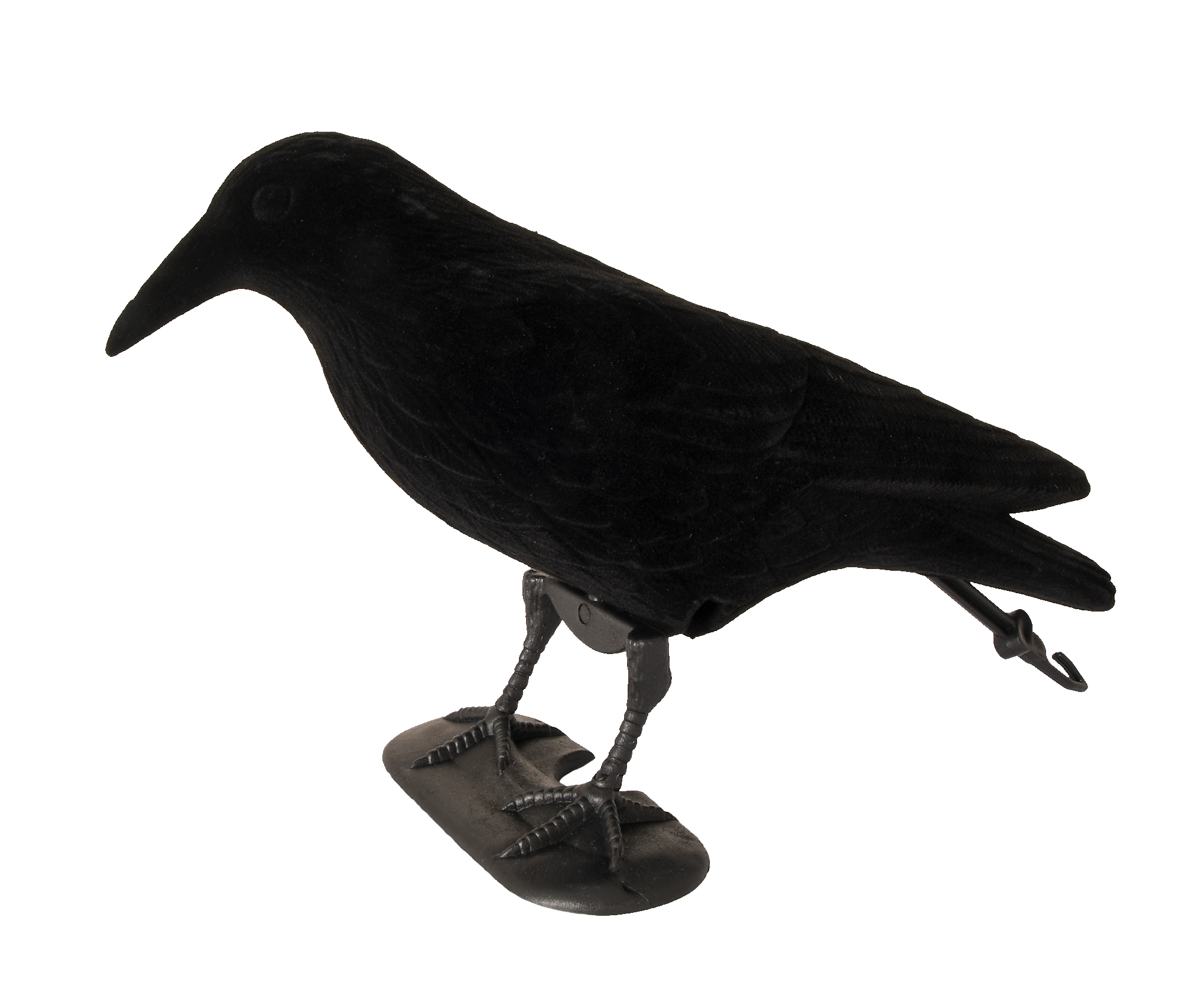 5etta Bulvan Kråka Svart