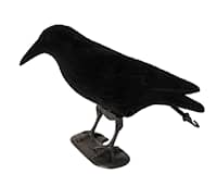5etta Bulvan Crow Black