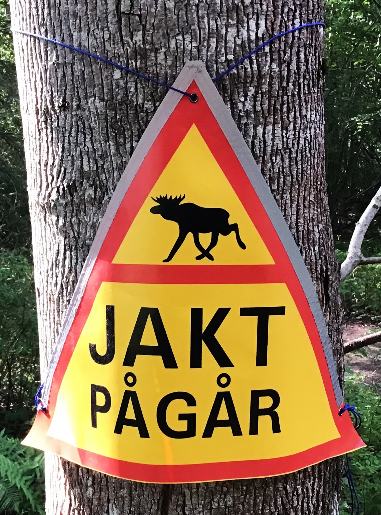 Varningsskylt Jakt Pågår bild 2.jpg
