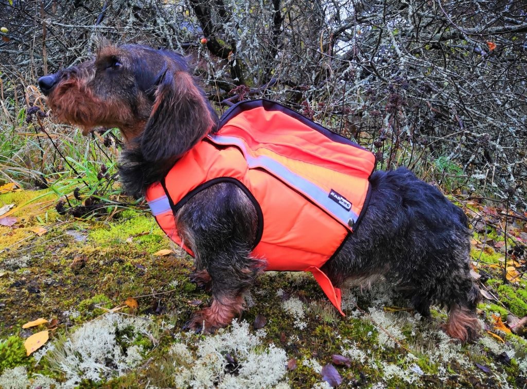 Kardog SAGA Flytende GPS-High Visibility Vest