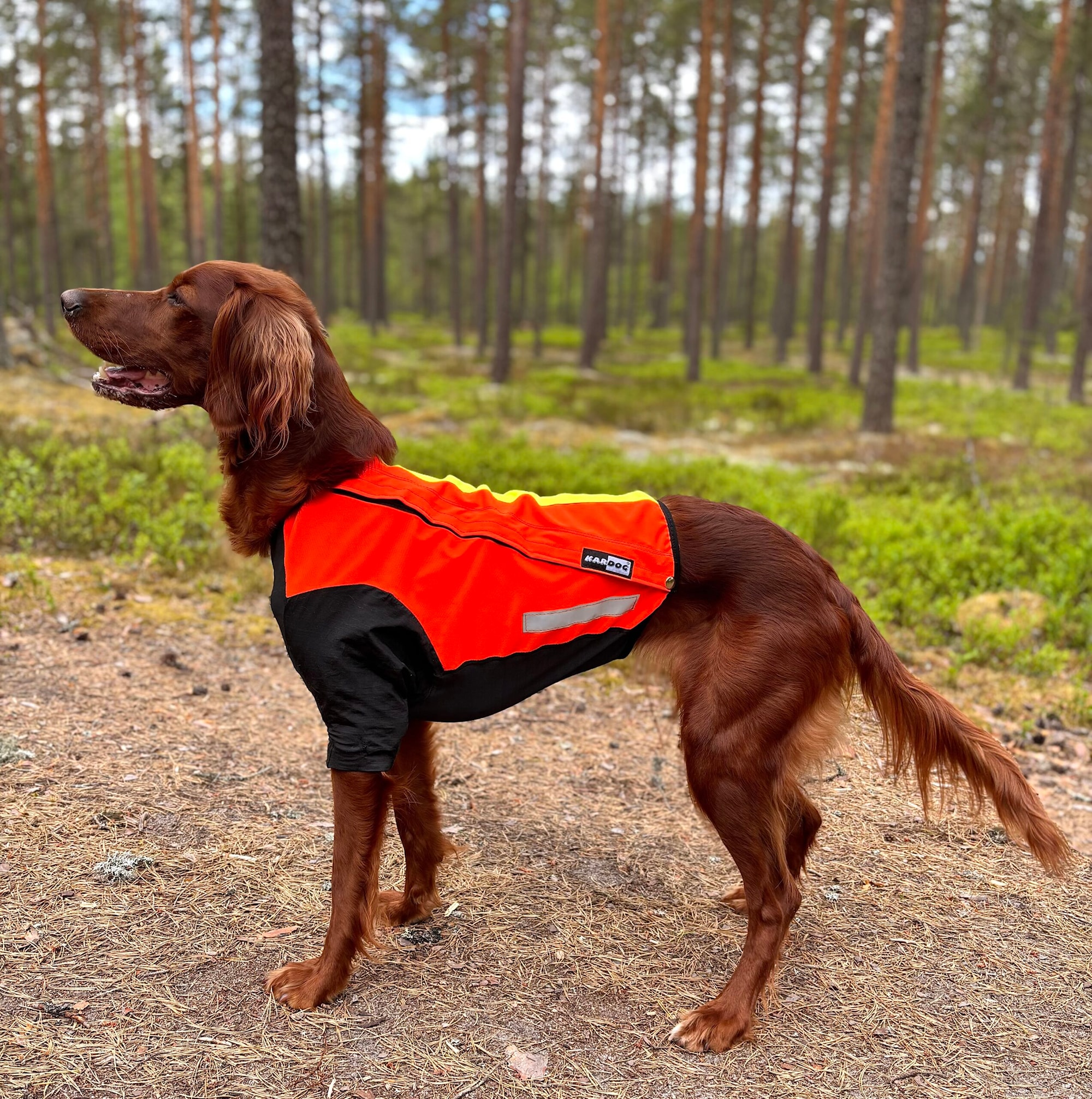 Kardog HILLA – Elastisk Skärskyddsdräkt med ben
