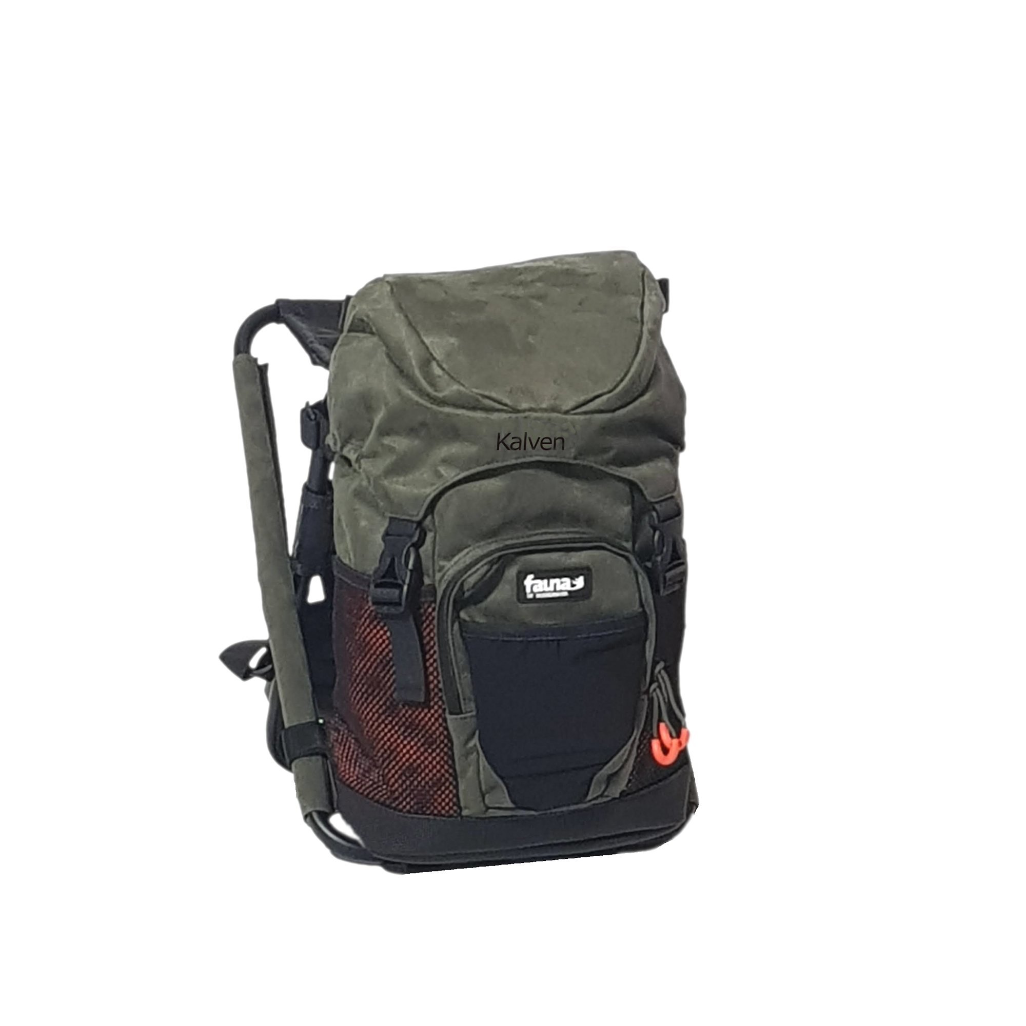 fauna Kalven-framifrån.png