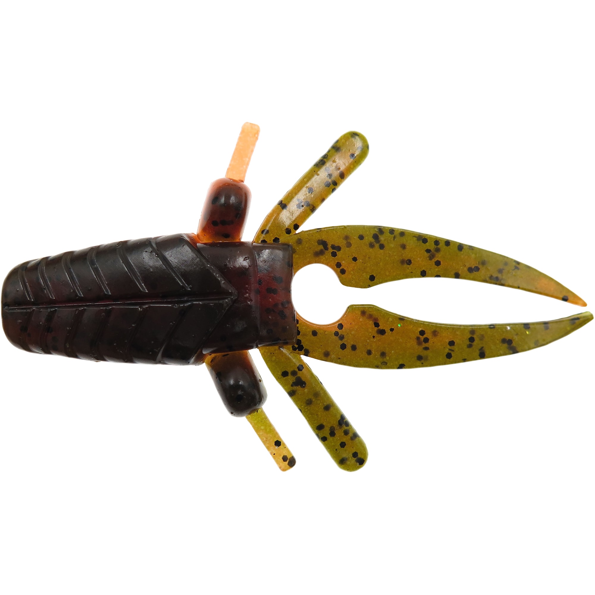 Bite of Bleak Dahaka Bug 10 cm