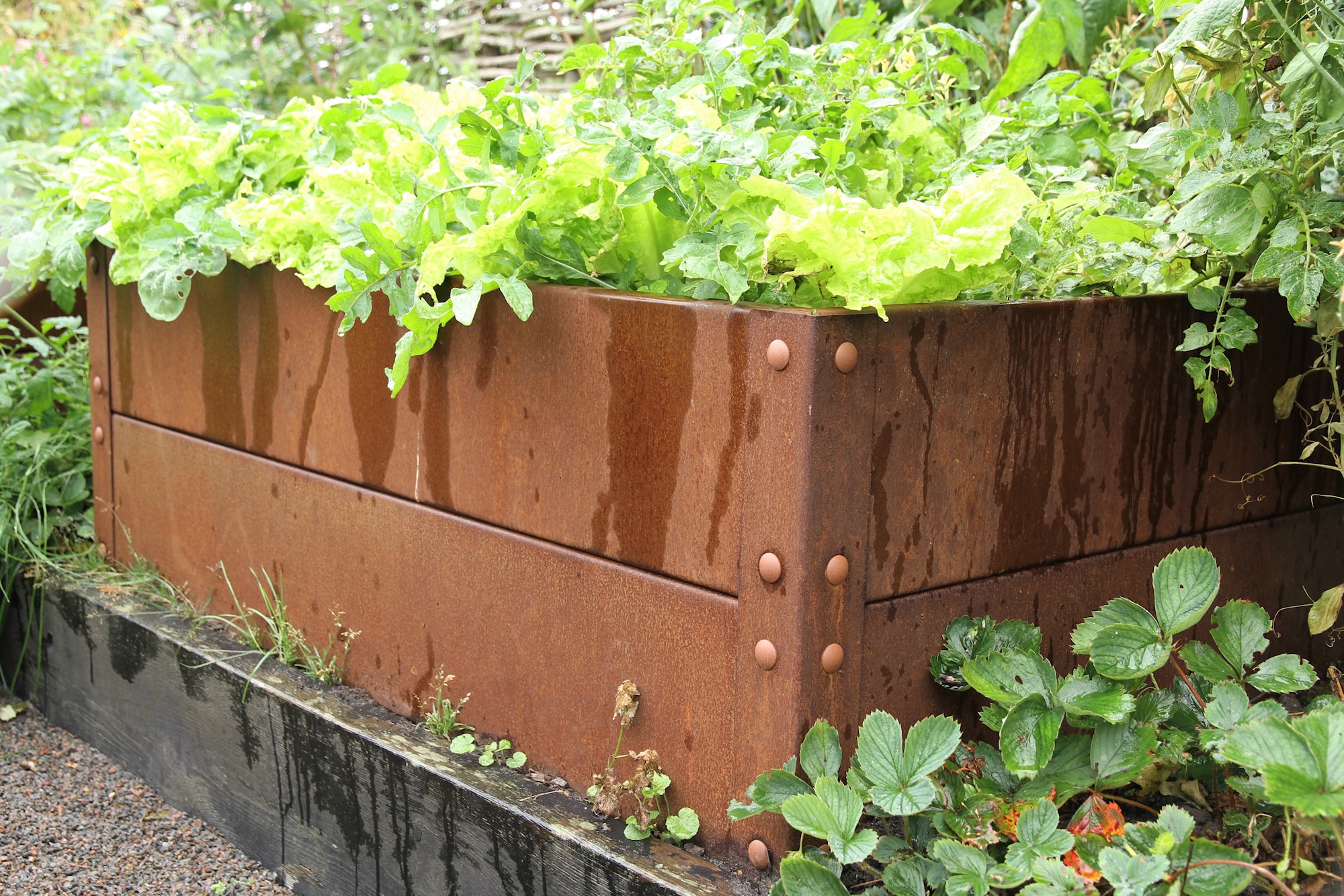 Flexigarden Odlingslåda Cortenplåt 2 mm